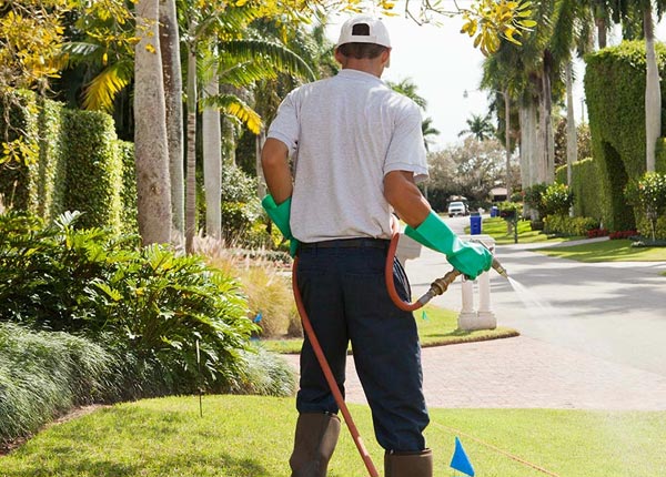 About Worth MO Pest Control